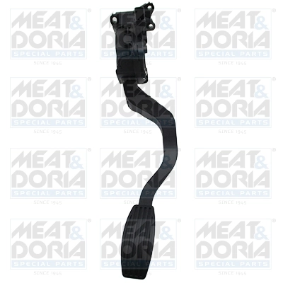 Accelerator Pedal Unit